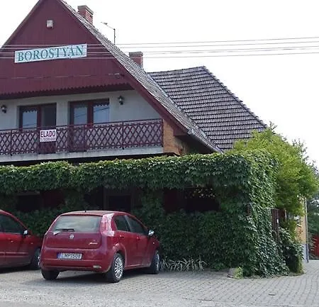 Borostyan Nyaralohaz Балатонбоглар