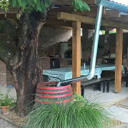 Borostyan Nyaralohaz